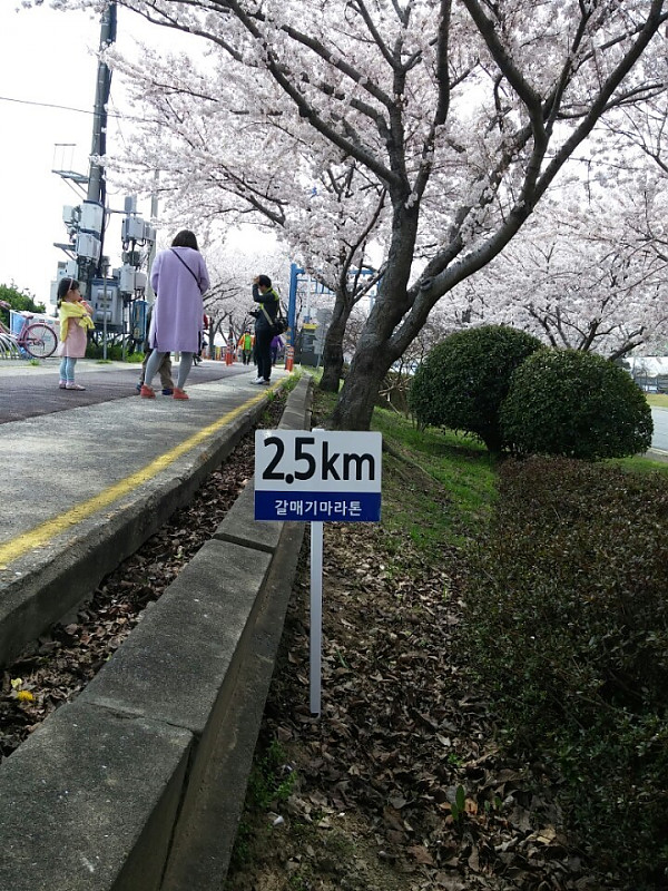 2.5 Km.jpg
