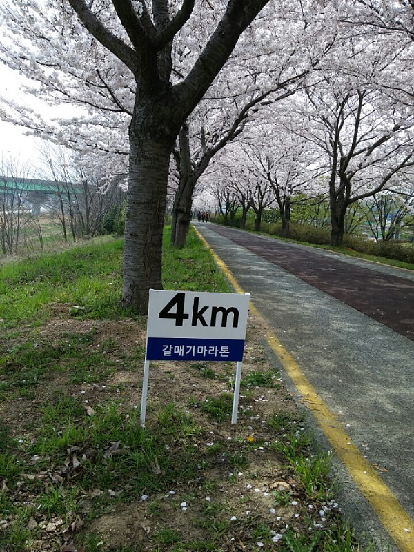 4 km.jpg