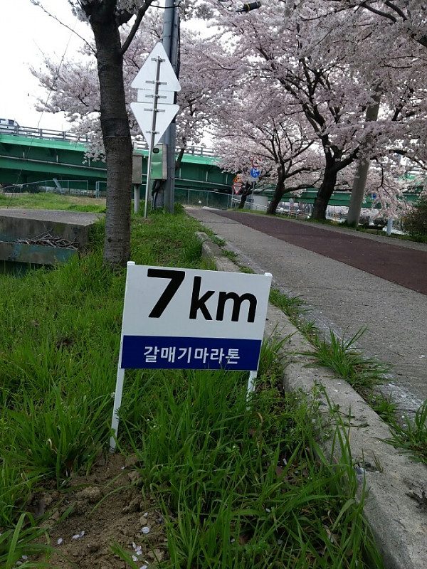 7 Km.jpg