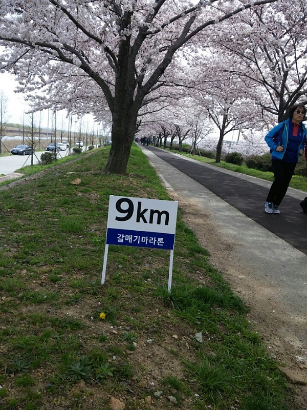 9 km.jpg
